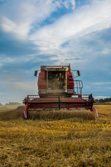 Fototapeta premium Erntezeit