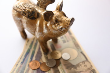ブタとお金