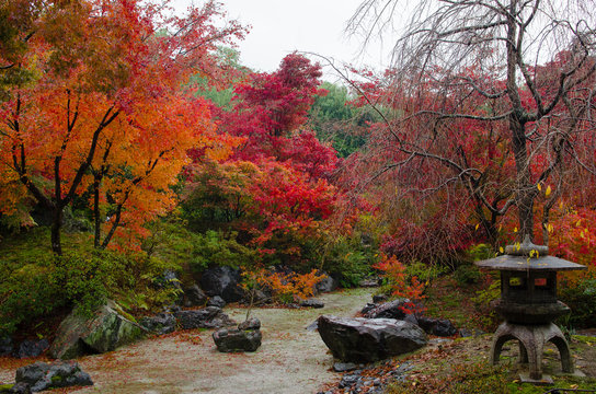 宝筐院　庭園