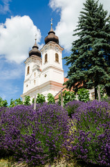 Obraz premium Benedictine abbey in Tihany, Hungary