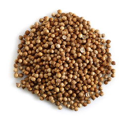 coriander seeds