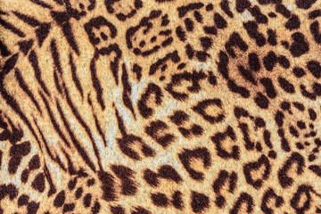 Fototapeta premium texture of print fabric stripes leopard