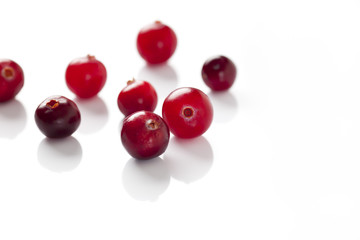 Cranberry