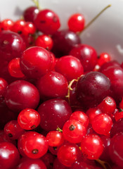 Red currant and cherry 