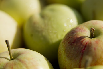 Apples