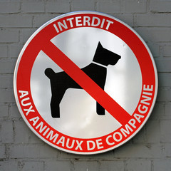interdit aux animaux de compagnie