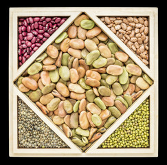 fava bean tangram abstract