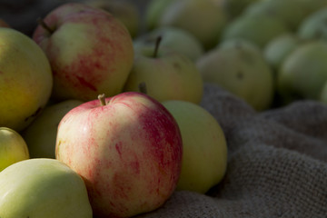 Apples