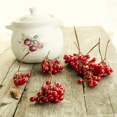 red viburnum berries and snow on a wooden background