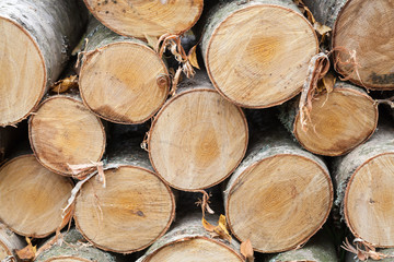 Pile of firewood, photo of birch chocks