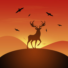 Fototapeta na wymiar Deer at sunset