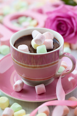 Obraz na płótnie Canvas Hot chocolate and marshmallow