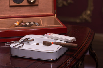 Handsome man with cigar