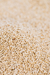 Quinoa background