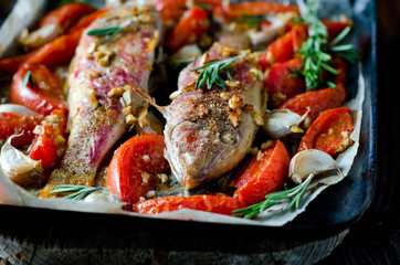 Red mullet baked with tomato, garlic and rosemary