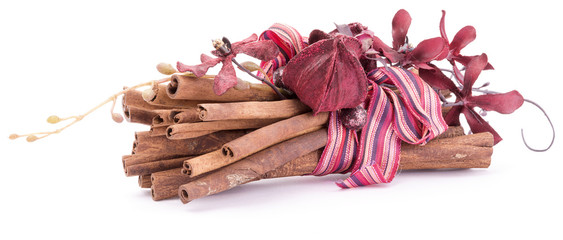 decorated sticks of cinnamon isolated