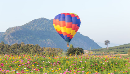 Fototapeta premium Hot air balloon over flower fields with mountain background