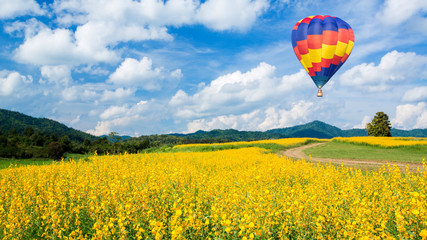 Hot air balloon over yellow flower fields and blue sky backgroun