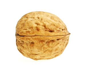 Walnut isolated on white background