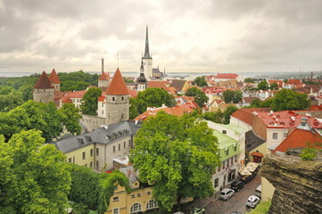 Oleviste Kirikus, &Otilde;igeusu Kiriku,Tallinn, #9149