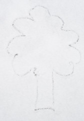 Drawing tree on snow