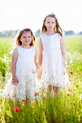 Two adorable girls in white dresses standing on the meadow