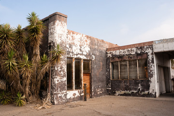 Palm Trees Beside Abandoned Gas Service Station Ghost Town