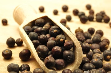 Wacholderbeeren
