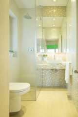 Luxury toilet in modern residence