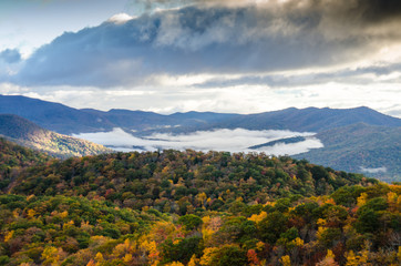 Obraz premium Fog Below Trees in Fall