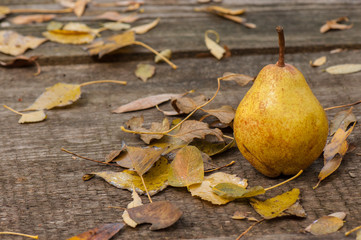Fresh pears and autumn leaves on a wooden table.