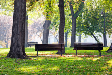 bench in the park