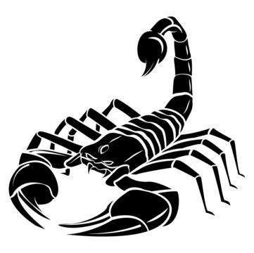 Scorpion MAscot Tattoo