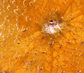 Background with the texture of an orange with water bubbles.