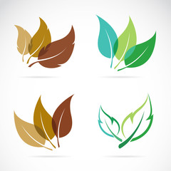 Vector image of leaves design on white background