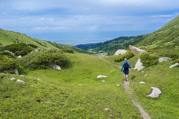 Obraz premium Walking in mountains