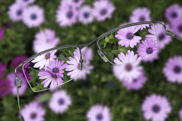 Eyeglasses helping to see flowers in focus
