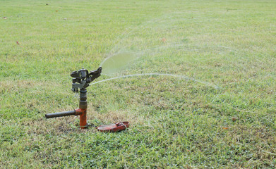Naklejka premium Sprinkler