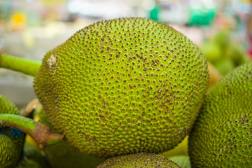 Bunch of giant jackfruits on box in supermarket