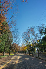 駒沢公園