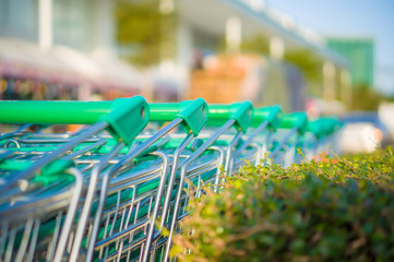 Row of shopping cart with green handles near live natural fence