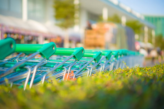 Row of shopping cart with green handles near live natural fence