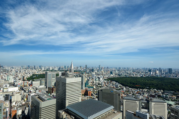 東京都庁展望室からの展望