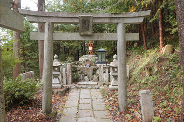 Torii gate of a shrine in Japan