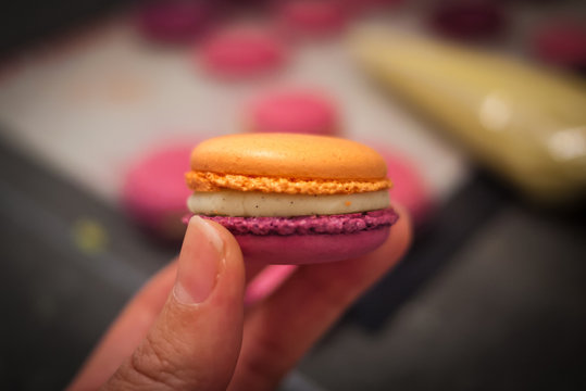 Colorful macaron held  in fingers by baker