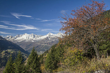 Obraz premium Leventina im Herbst