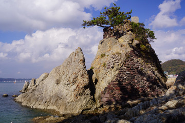森戸海岸　千貫松