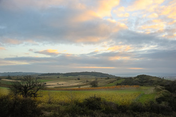 Fototapeta premium Landschaft mit Abendhimmel im Burgenland