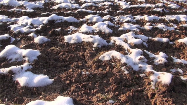 plowed agricultural field covered by first fresh snow in winter