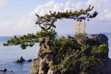 森戸海岸　千貫松